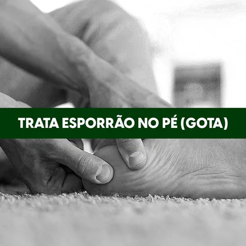 gota