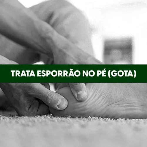 gota